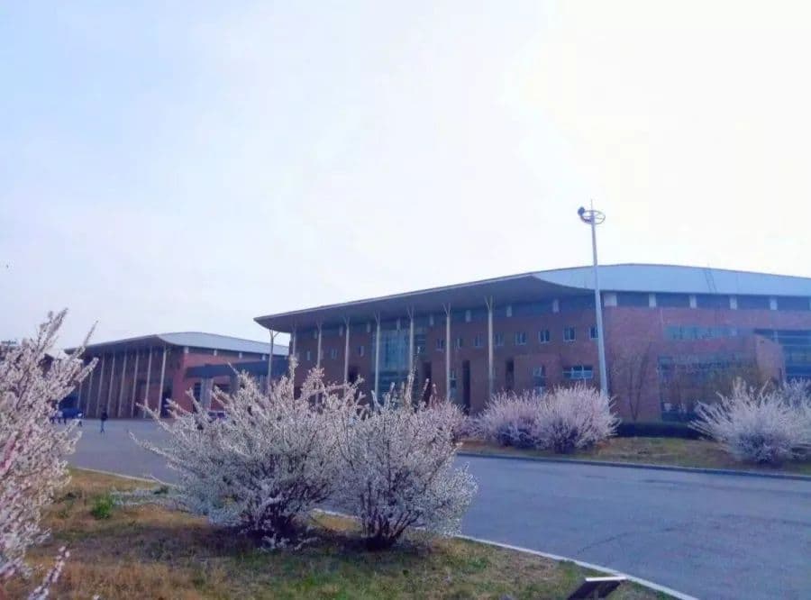 数不清的队内会议